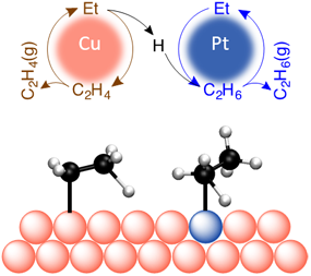 Ethyl hydrogenation versus dehydrogenation on Pt/Cu.