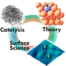 Theory, surface science and catalysis in synergy.