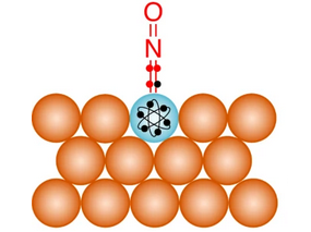 A new 10-electron rule for single atom alloy catalysts design.